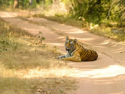 bandhavgarh zones