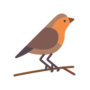 birdwatching icon