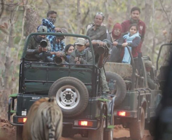 jeep safari bandhavgarh